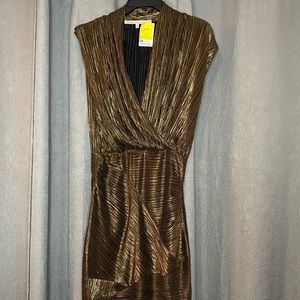 NWT Rachel Roy Dress